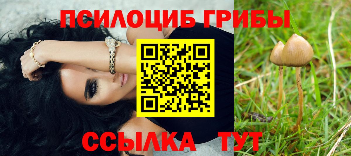 Валуйки  Галлюциногенные грибы Cubensis  Вход с VPN 